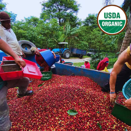 Costa Rica Hacienda La Amistad