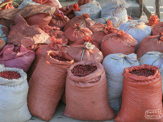Ethiopia Dry Process Guji Uraga