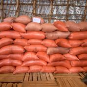 Ethiopia Gerba Hechere