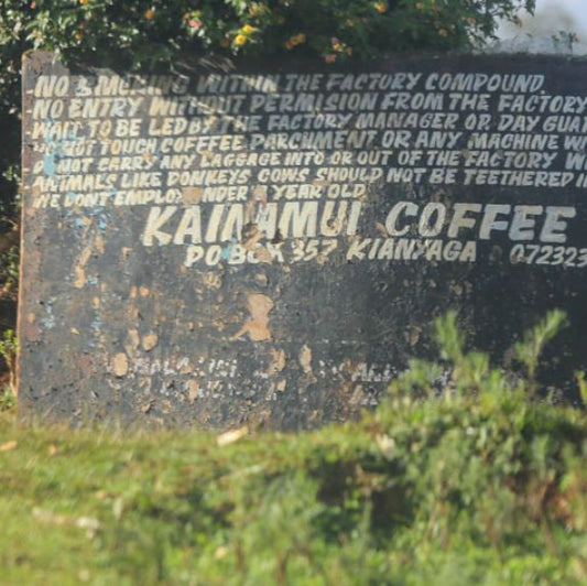 Kenya Kirinyaga Kainamui Peaberry