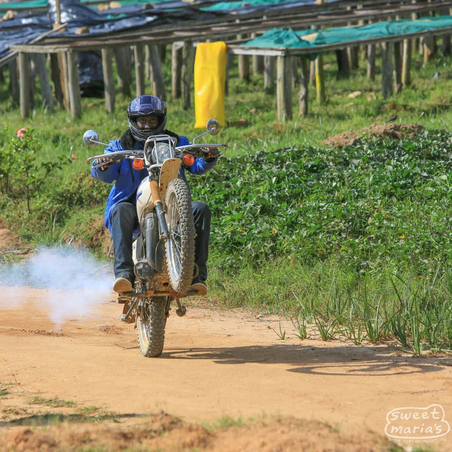 Rwanda Nyamasheke Mutovu